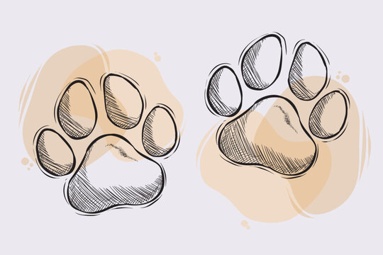 how to draw a paw print